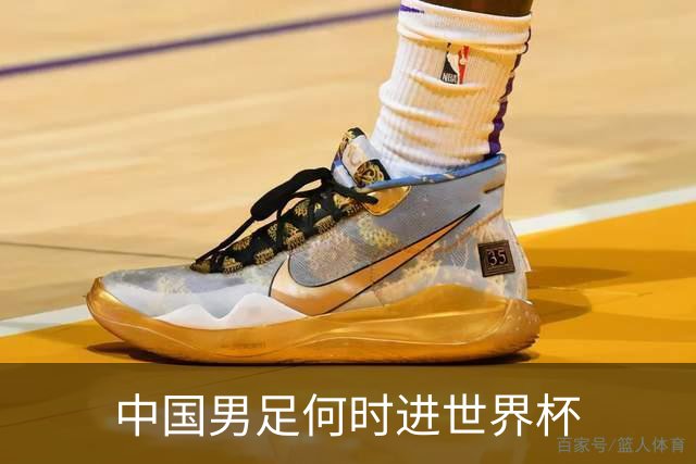 中国男足何时进世界杯?刘建宏发声：各级青年梯队持续进世界杯