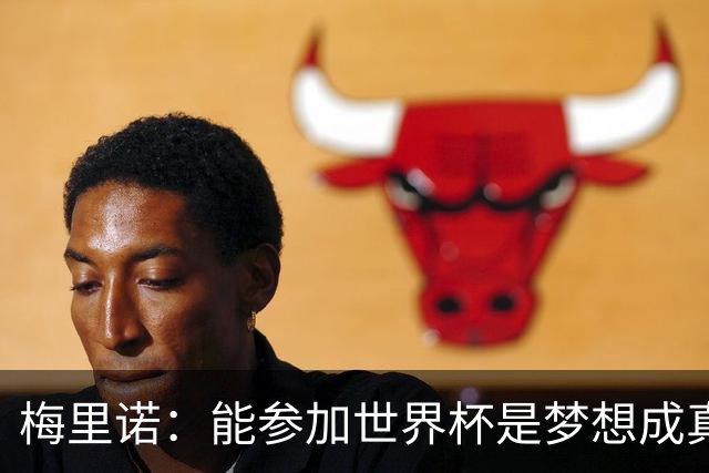 梅里诺：能参加世界杯是梦想成真，我克服了受伤的艰难时刻