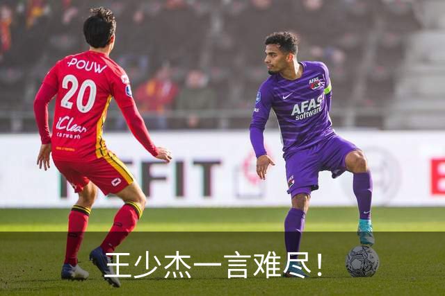 王少杰一言难尽！